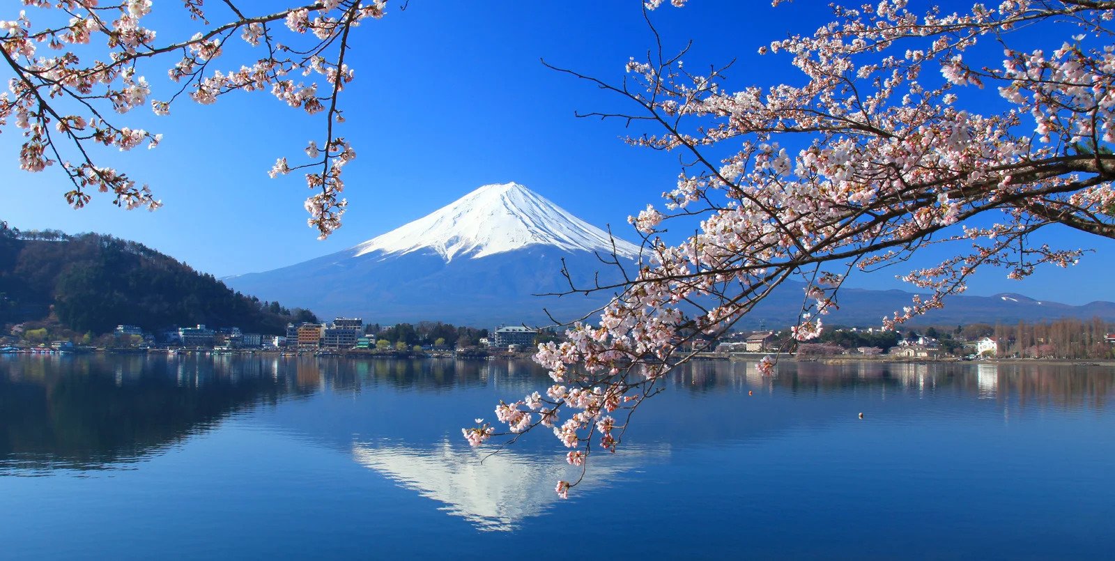 mt_fuji